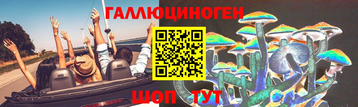 Луховицы  Псилоцибиновые грибы Psilocybine cubensis  Вход с VPN 